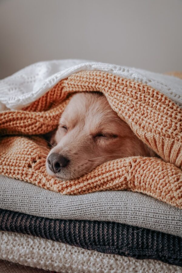 Terra Weave Linen Blanket